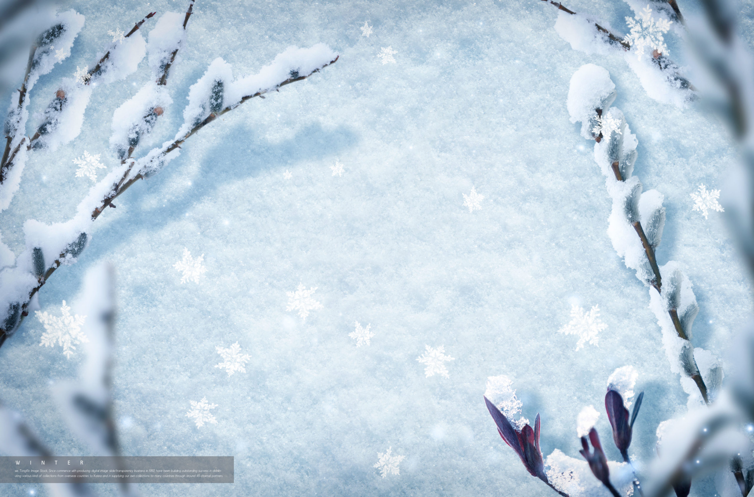冬季雪景背景图片psd素材合集插图(3)