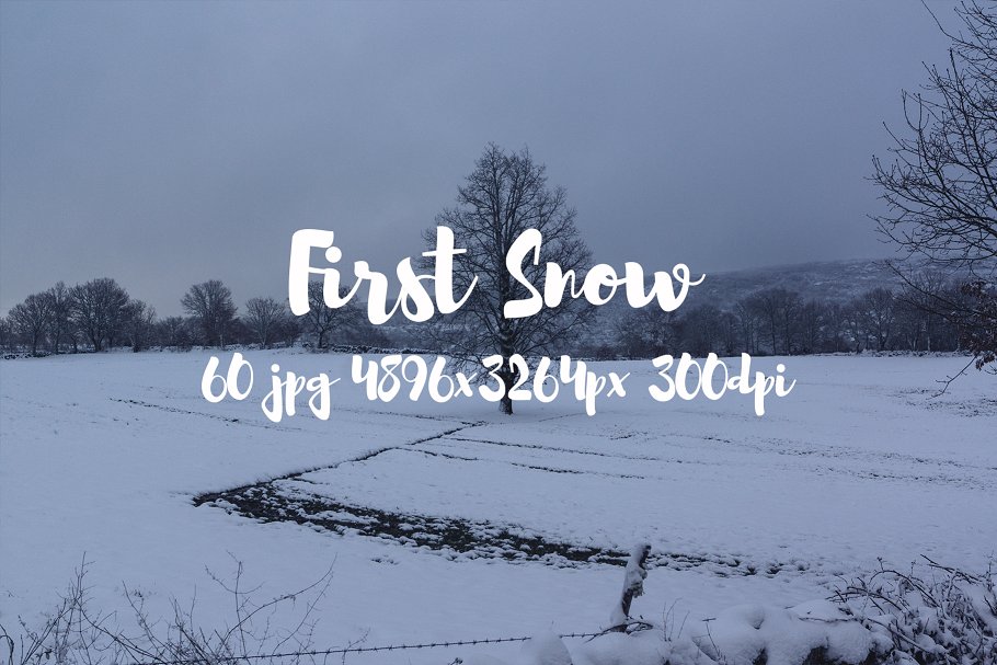 高清雪景照片合集 First Snow photo pack插图23