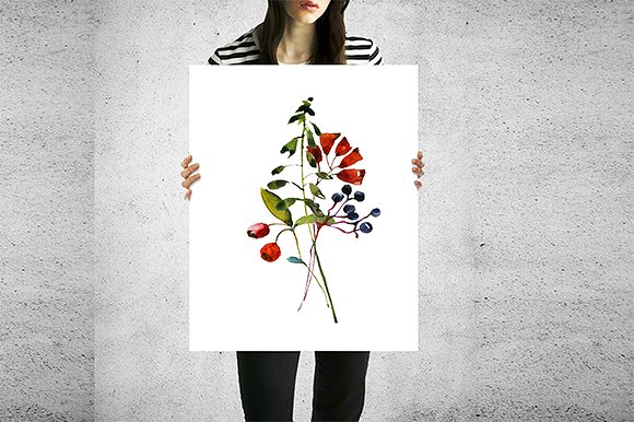 野花草本水彩套装 Wild Flowers & Herbs Watercolor Set插图(11)