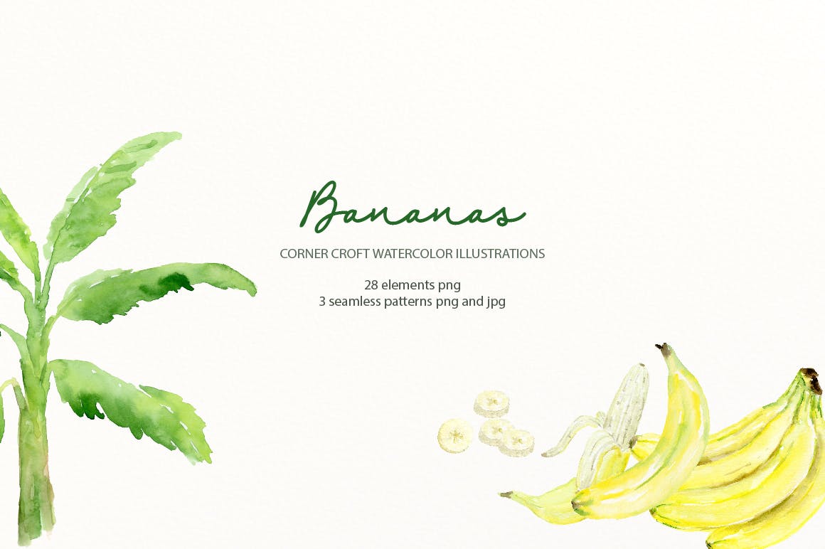 水彩香蕉&香蕉树手绘插画PNG素材 Watercolor Banana Illustration插图4