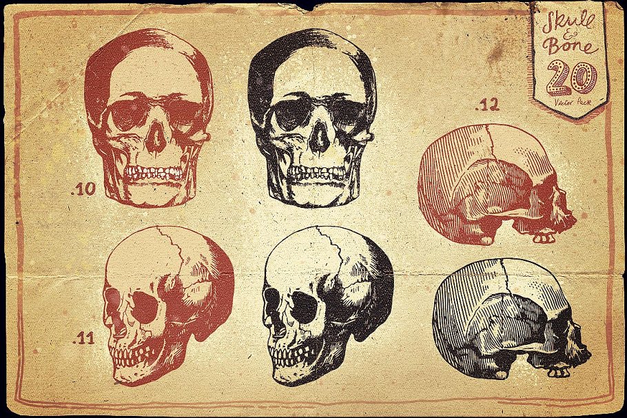 万圣节骷髅头矢量图形合集 Vintage Skull and Bone Vector pack插图(6)