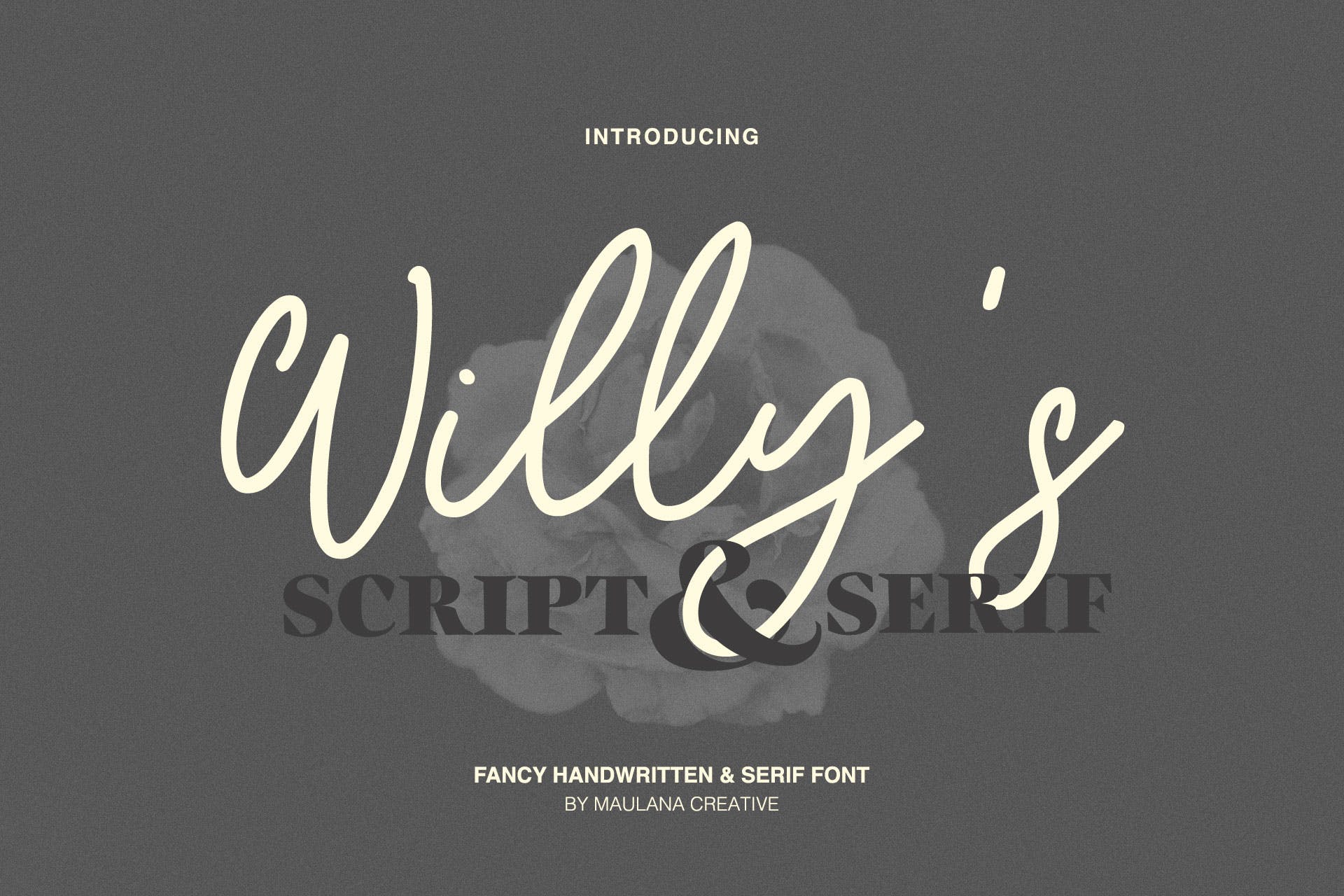 英文手写字体&印刷版式设计衬线字体二重奏组合字体 Willys Script Serif Font插图