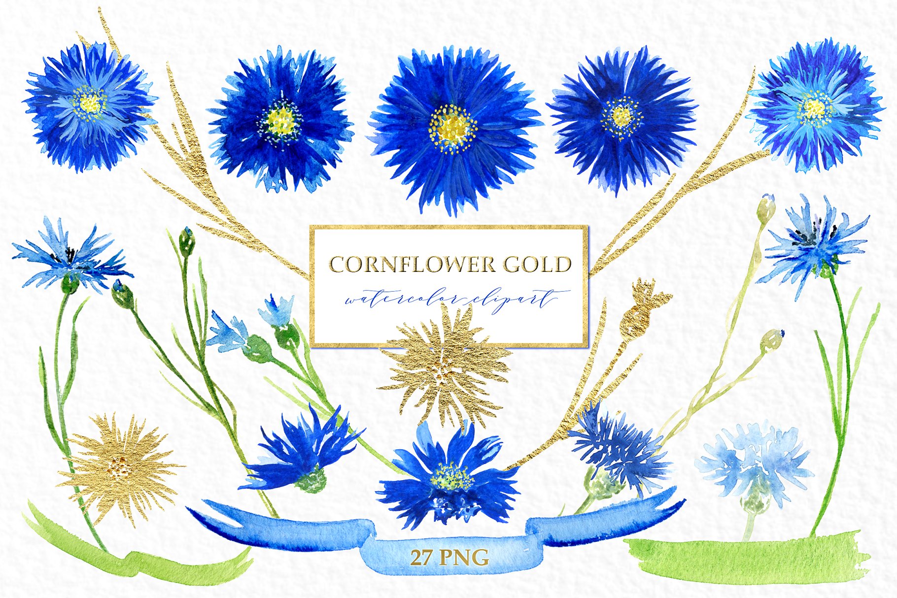 矢车菊&金色水彩剪贴画 Cornflowers gold. Watercolor clipart插图(1)