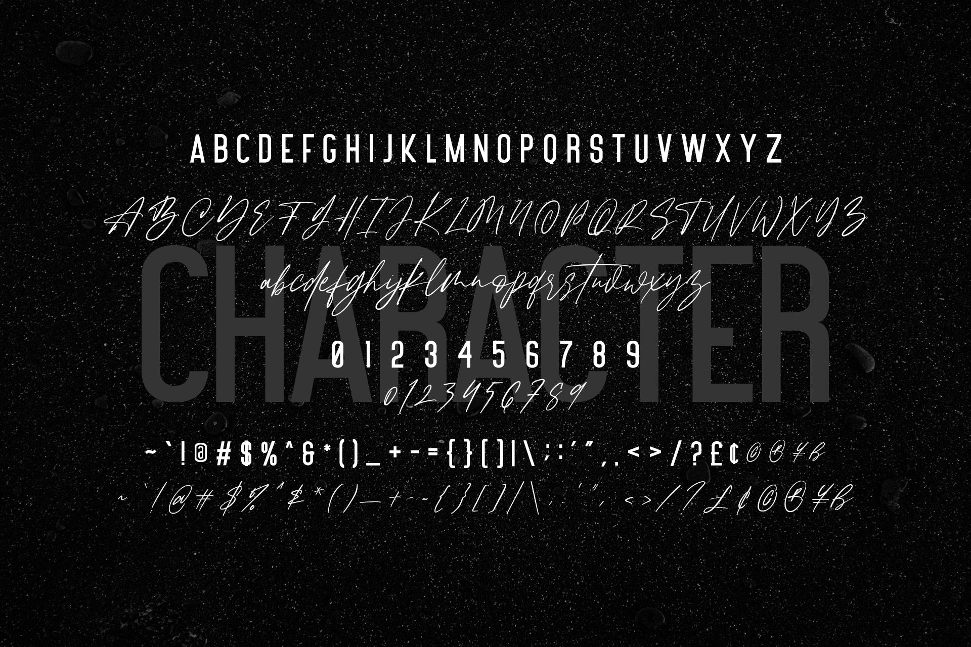 飘逸英文连字书法/无衬线二重奏设计字体 Jacksons Font Duo插图(9)