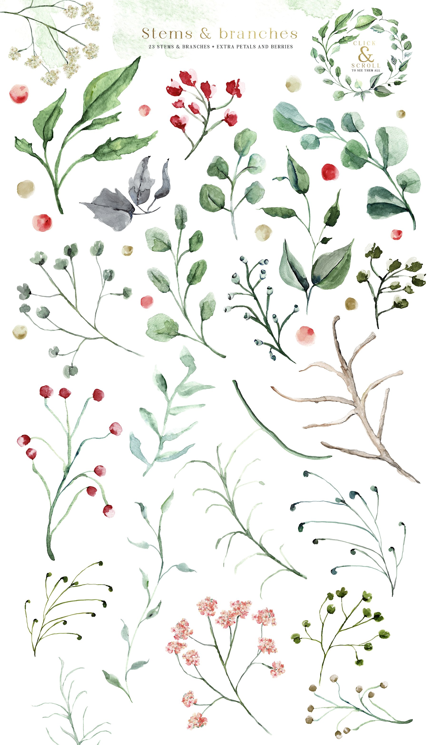 胭脂红玫瑰水彩剪贴画 Creme & Rose Watercolor Set插图(13)