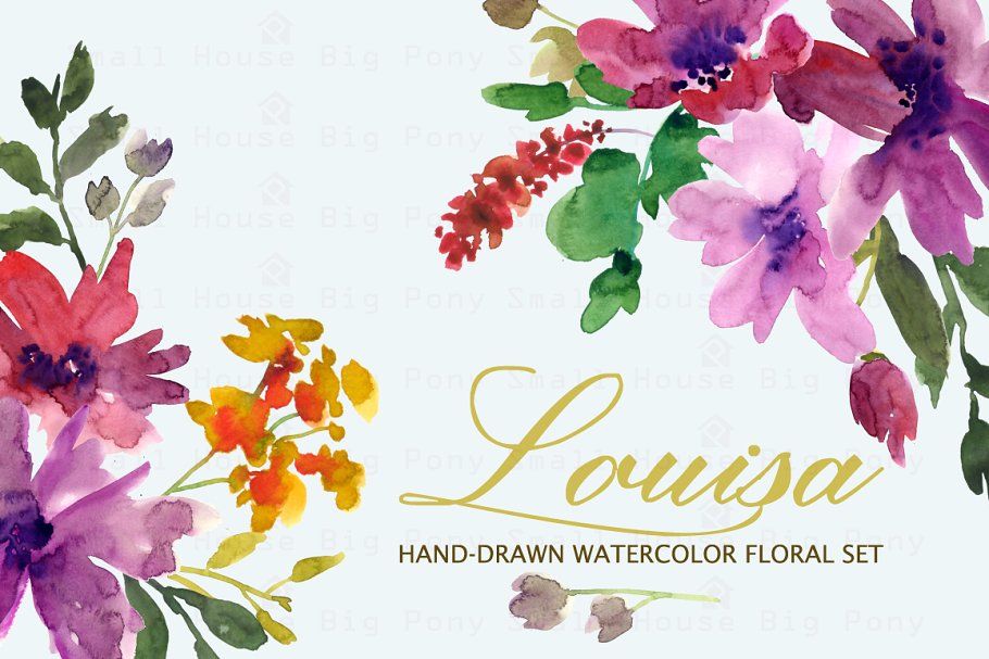 手绘水彩花卉剪贴画 Louisa- Watercolor Clip Art Set插图1