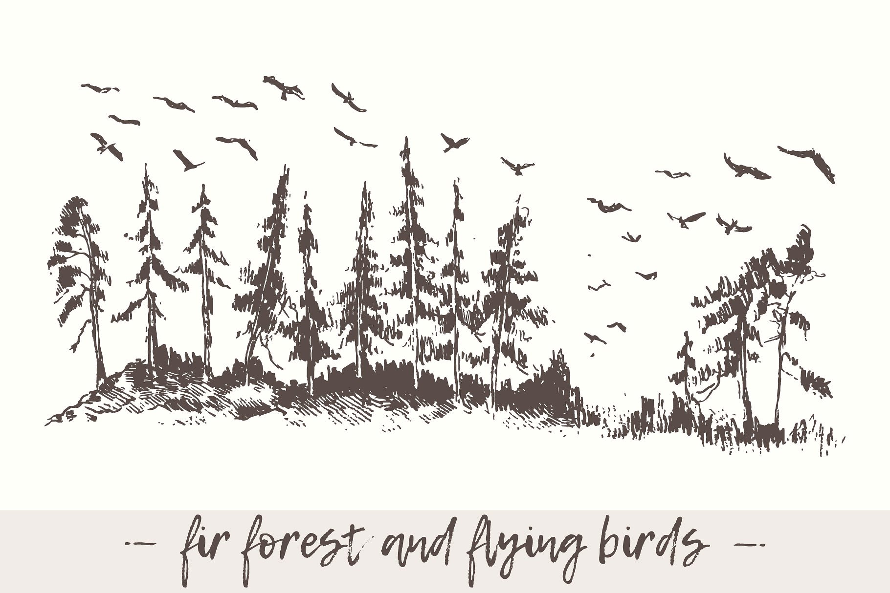杉木林鸟类景观素描图形 Landscape with fir forest and birds插图