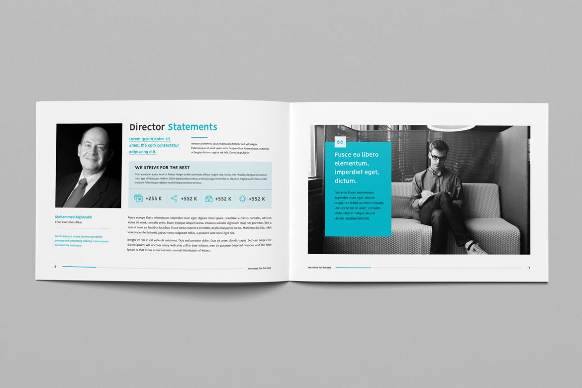 经典风格企业公司宣传画册设计模板 Company Profile Landscape插图(3)