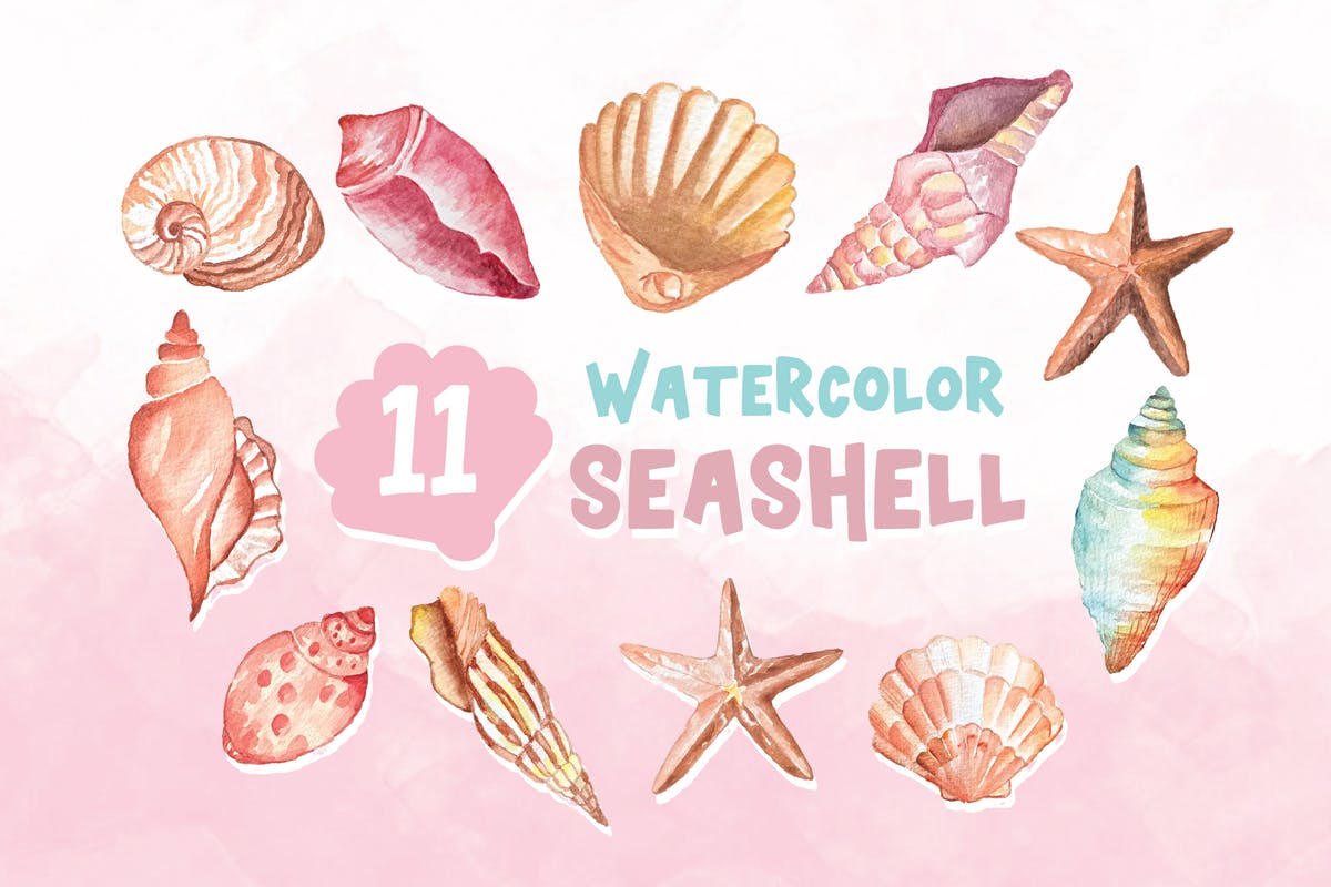 11款水彩贝壳插画合集 11 Watercolor Seashell Illustration Graphics插图