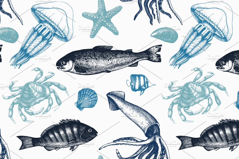 海洋生活矢量图形素材 Vector Sea Life Illustrations Set插图(4)