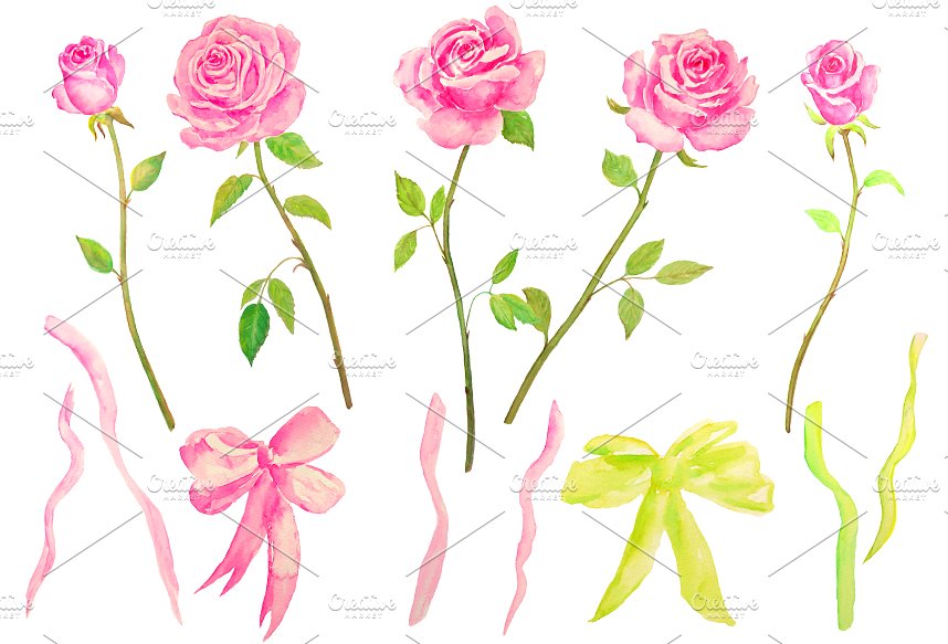 经典粉色花型玫瑰剪贴画 Watercolor Pink Roses插图