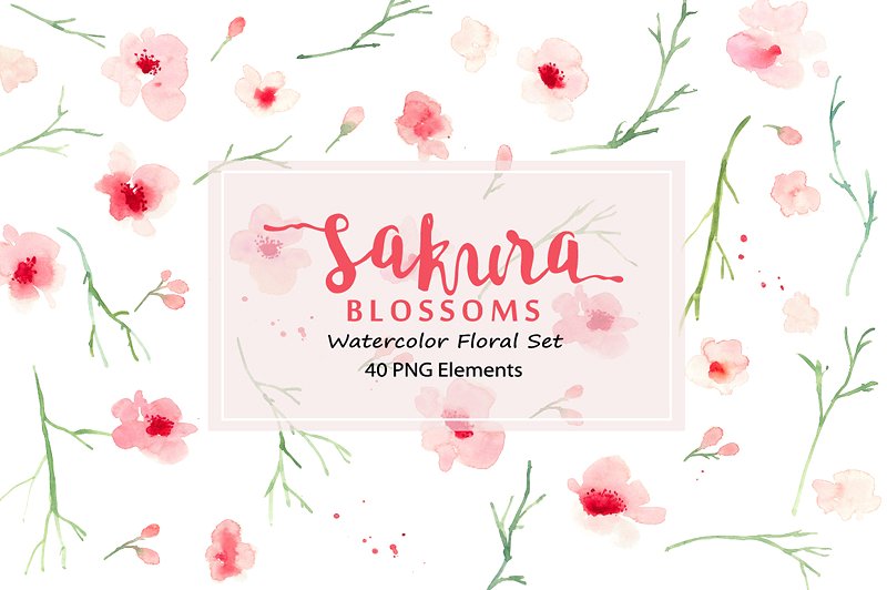 水彩樱花花卉插画素材合集 Sakura Blossoms – Watercolor Clipart插图3