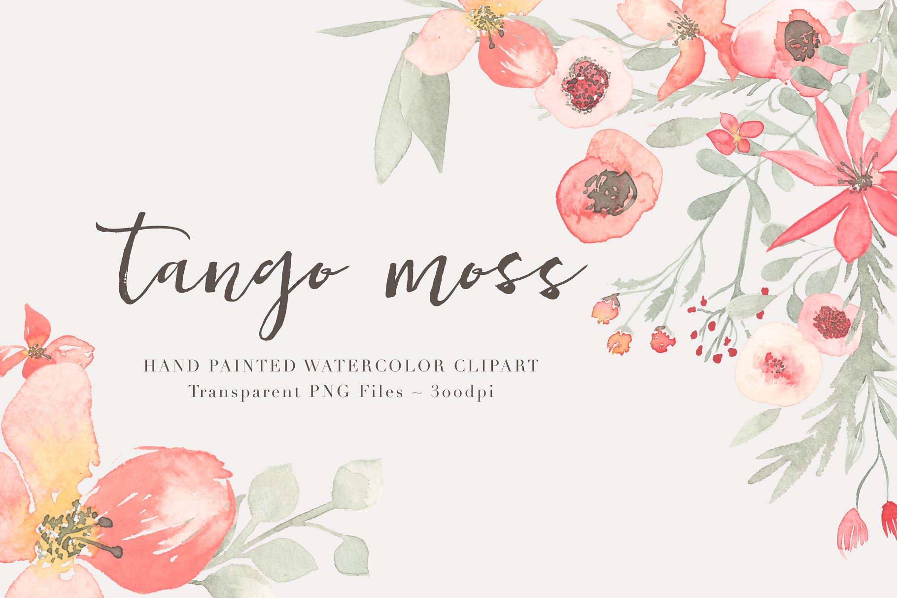 21款独特手绘花卉和树叶图形 Watercolor  Floral Clipart – Tango插图