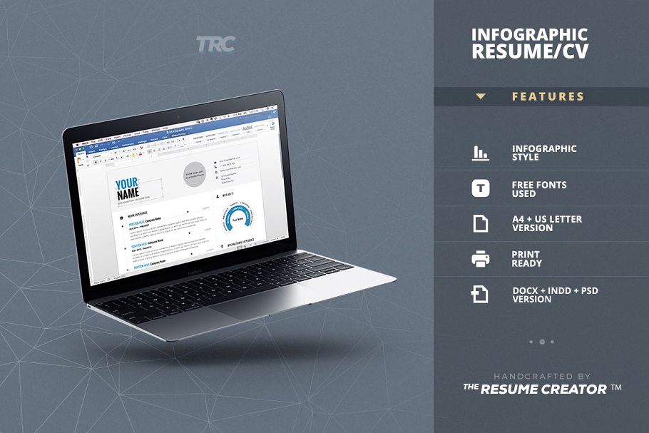 信息图表风格简历制作模板 Infographic Resume/Cv Template Vol.1插图(5)