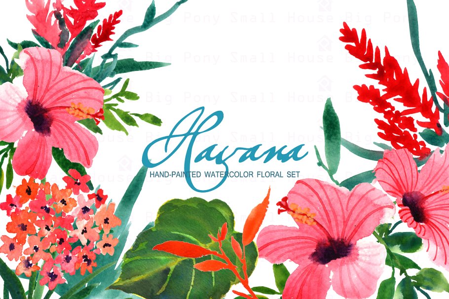 水彩花卉艺术剪贴画 Havana- Watercolor Clip Art插图1