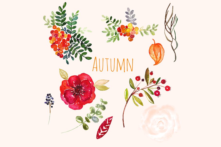 秋天成熟的果实水彩剪贴画 Autumn. Watercolor clip art.插图(2)