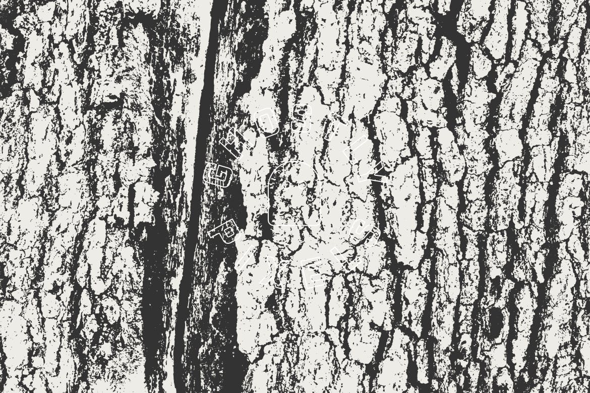 5款逼真树皮纹理肌理矢量背景素材 Tree Bark Textures插图(7)