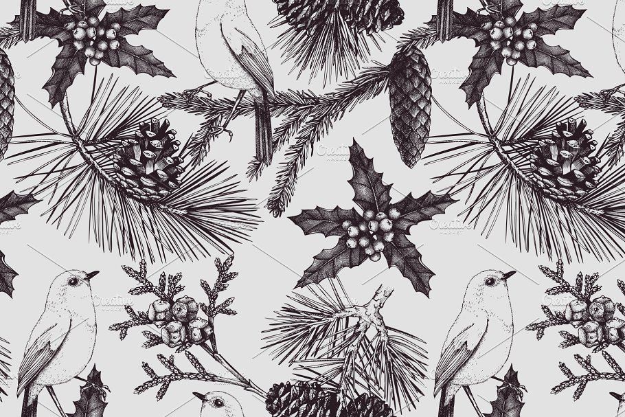 矢量针叶树图形素材集 Vector Conifer Trees Collection插图(5)