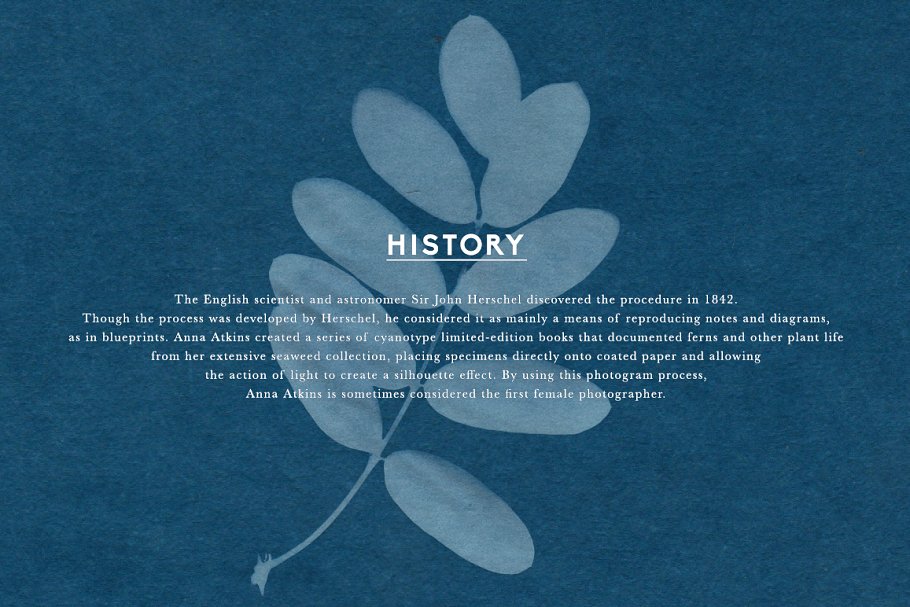 氰版风格花卉背景素材 FLORAL Cyanotype backgrounds插图(1)