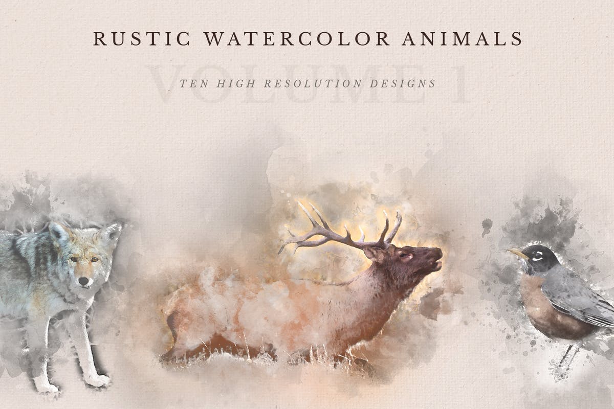 质朴的动物水彩手绘插图Vol.1 Rustic Watercolor Animals – Volume 1插图