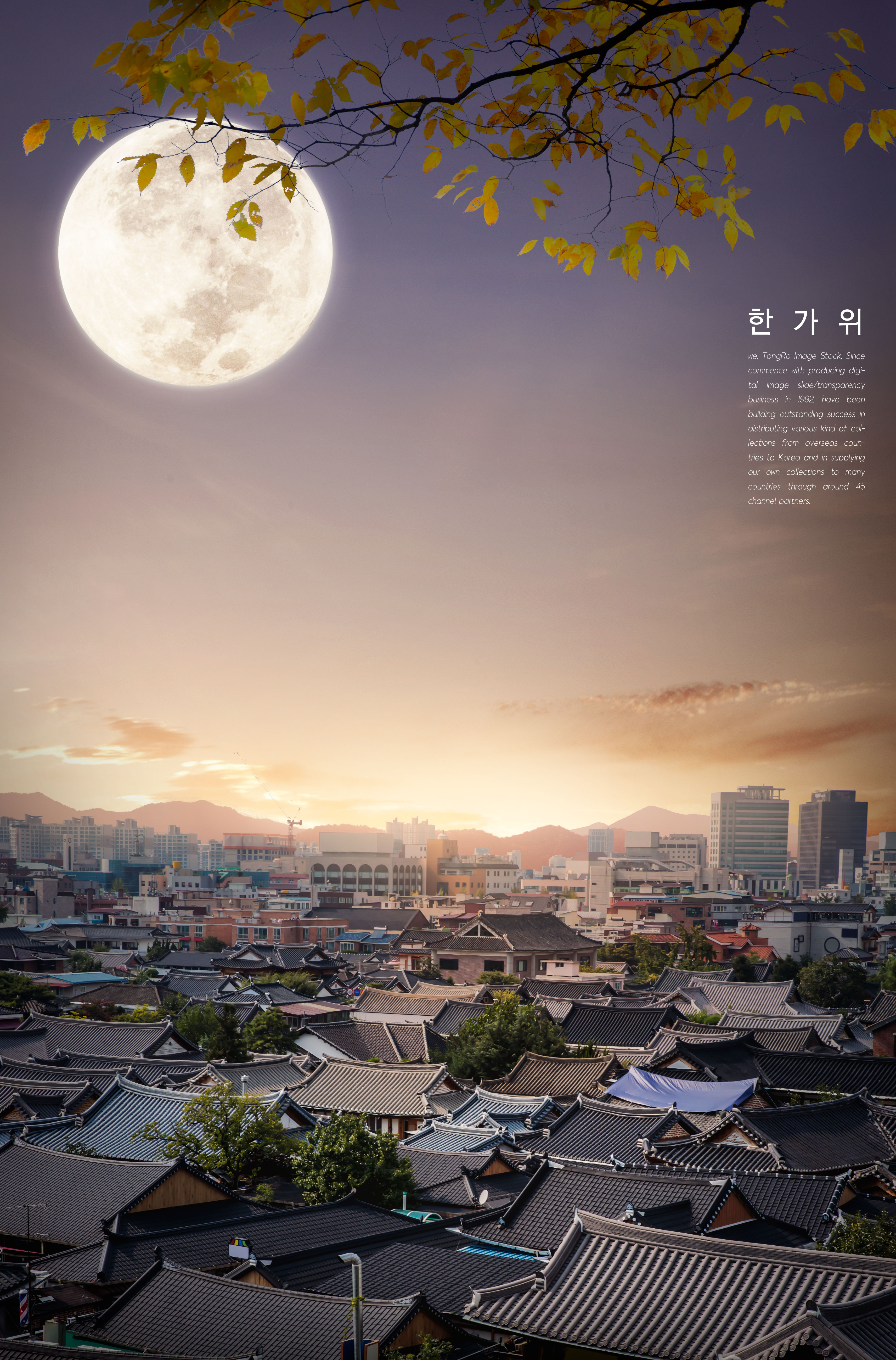 中秋节/秋夕佳节海报设计模板插图