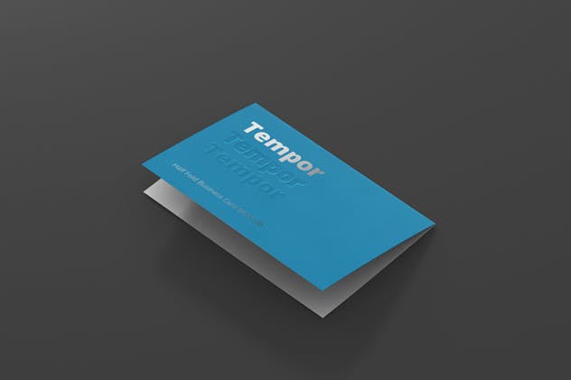 折叠型企业名片卡片平铺样机 Folded Business Card Mockup – Horizontal插图2