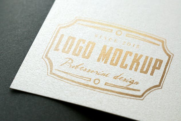 烫印烫金Logo样机模板 Logo Mock-Up插图(8)