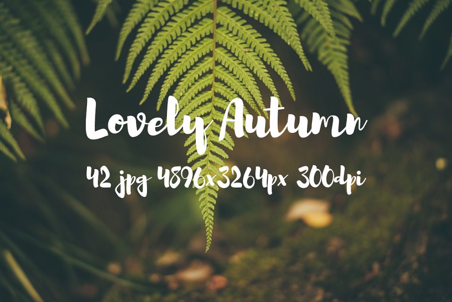 可爱秋天主题高清照片素材 Lovely autumn photo bundle插图7
