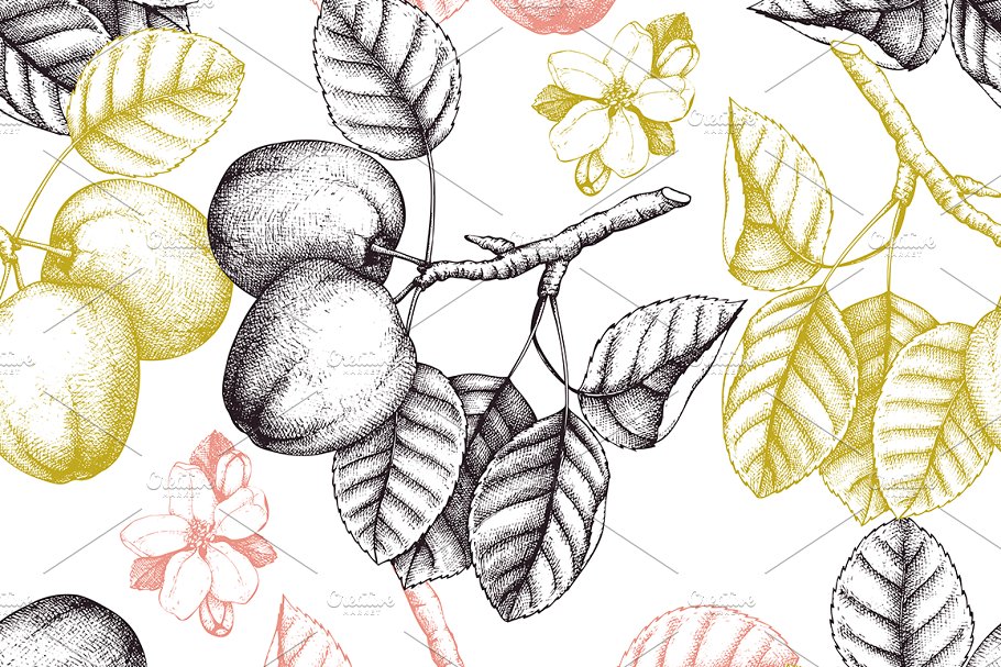 复古手绘苹果树矢量剪贴画 Vector Apple Trees Illustrations插图4