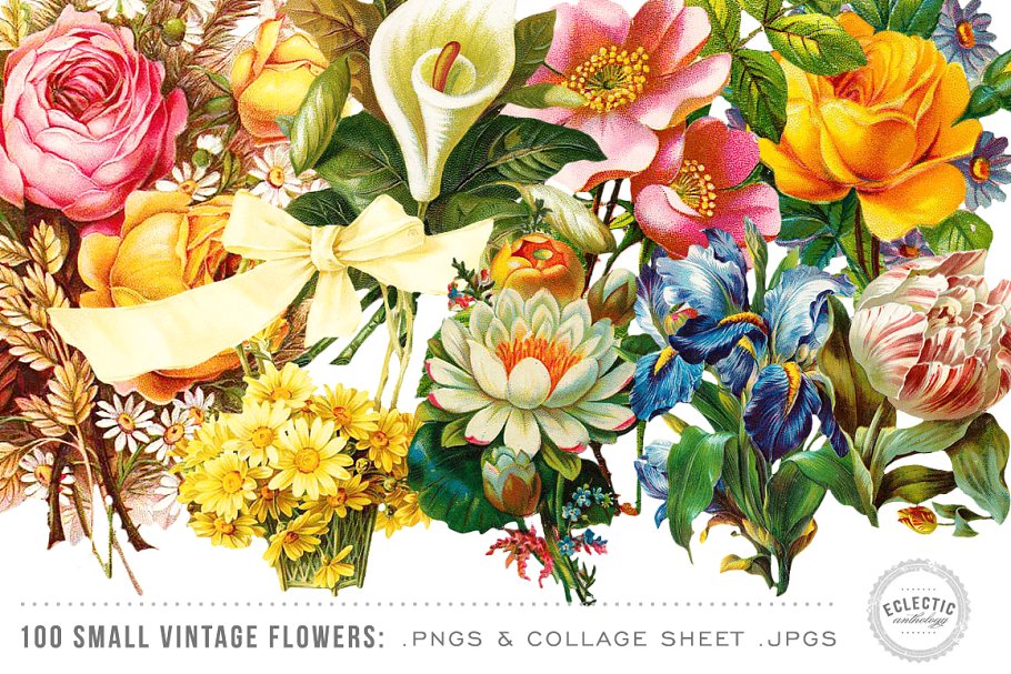 100张复古花卉插画剪贴画 100 Small Vintage Flower Graphics插图(3)