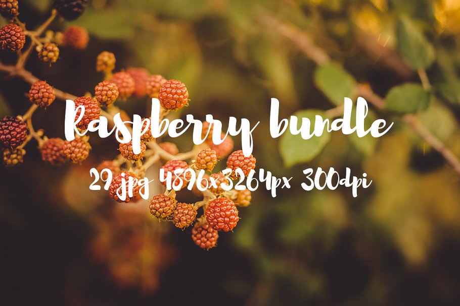 清新自然树莓高清图片素材 Raspberry photo pack插图6