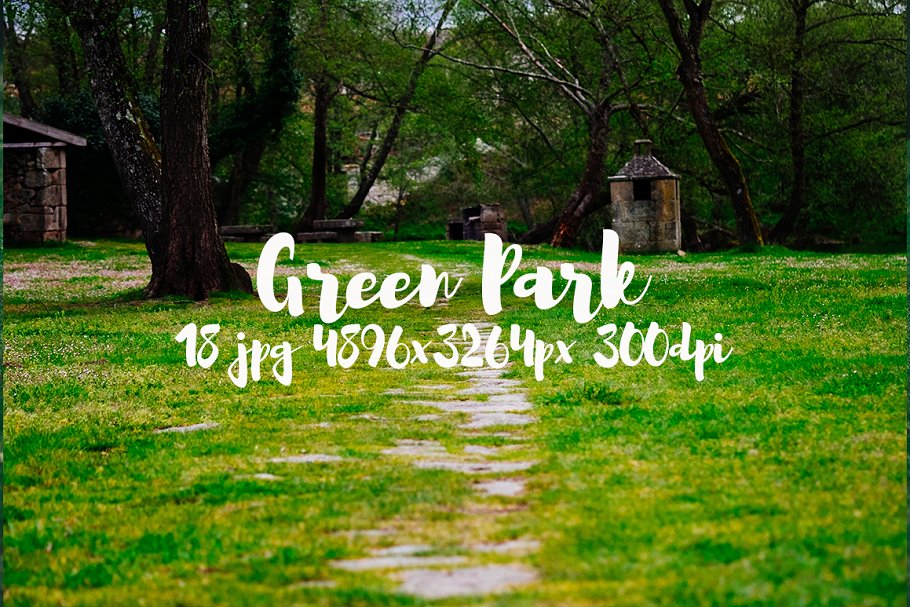 生机勃勃的公园景象高清照片素材 Green Park bundle插图(6)