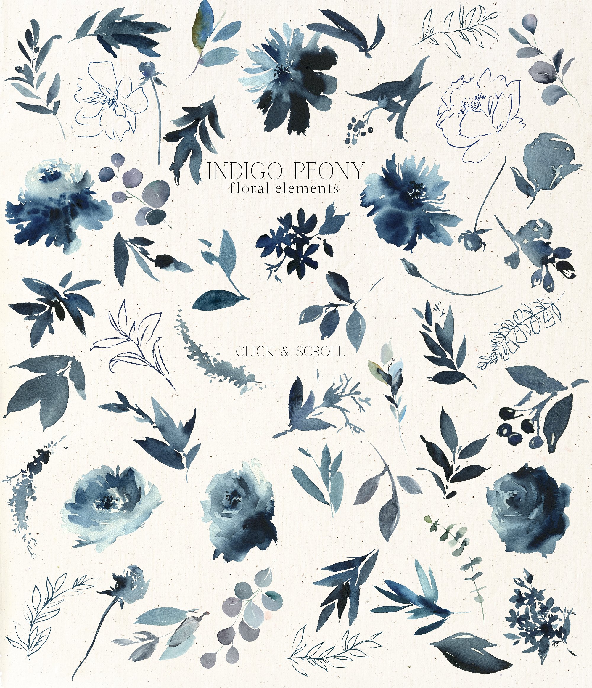靛蓝牡丹花水彩花卉剪贴画 Indigo Peony Watercolor Floral Set插图(11)