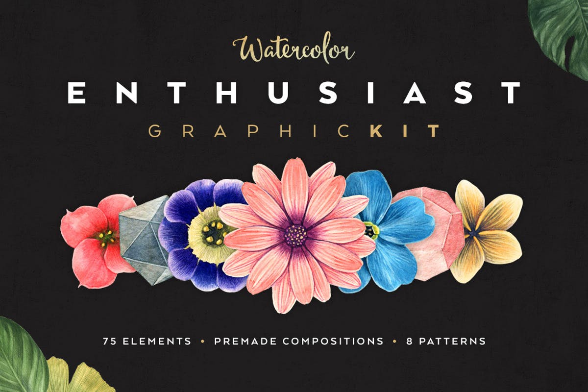 水彩花卉插画元素套装 Watercolor Enthusiast Graphic Kit插图