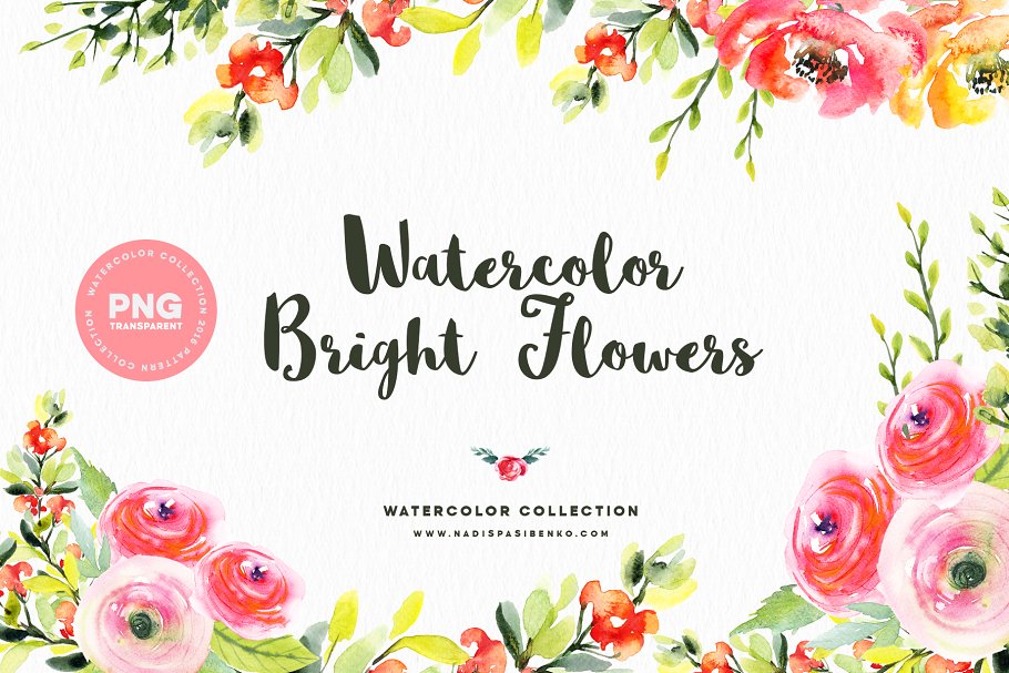 明亮水彩花卉设计元素 Watercolor Bright Flowers插图