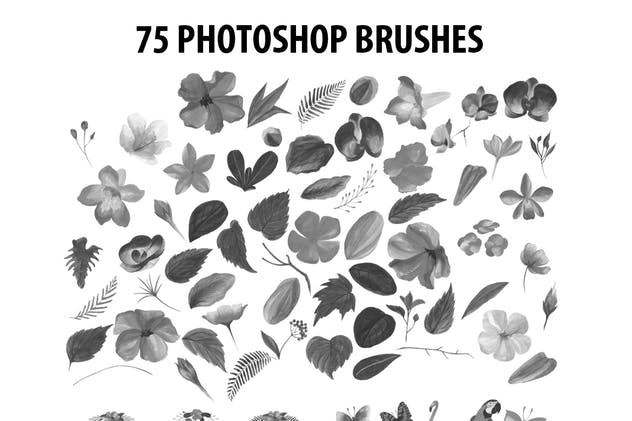 75款水彩手绘数码绘画PS笔刷合集 75 Photoshop Brushes Watercolor Collection插图1