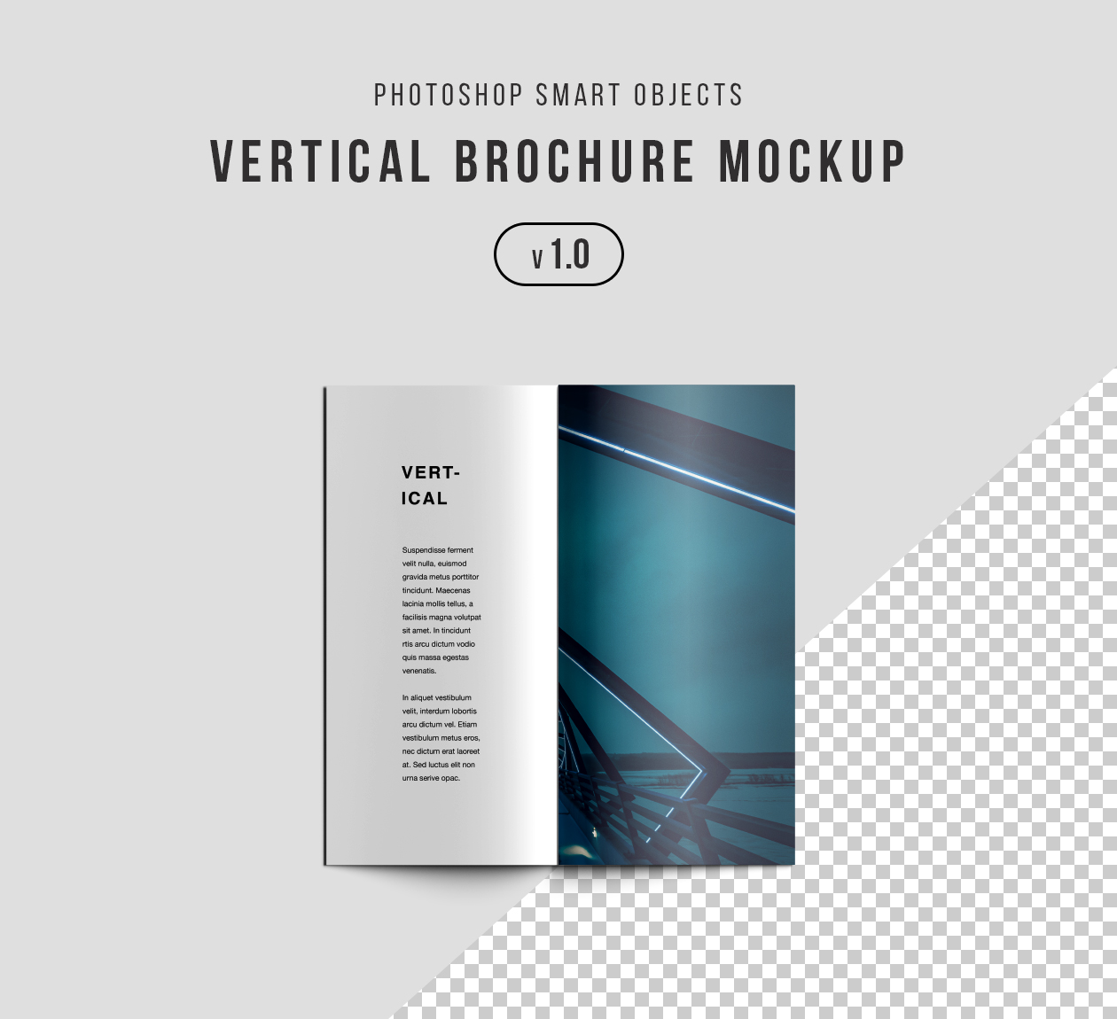 企业宣传册封面&封底设计效果图PSD样机 Vertical Brochure Mockup Psd插图
