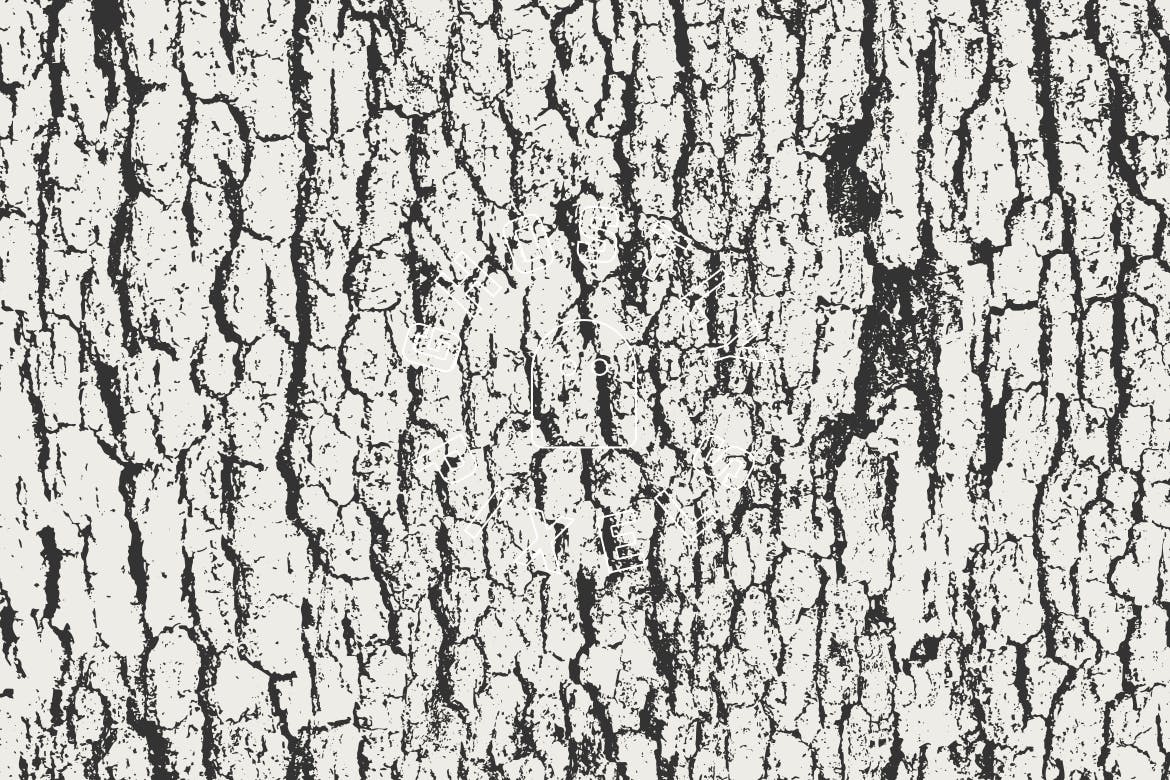 5款逼真树皮纹理肌理矢量背景素材 Tree Bark Textures插图4