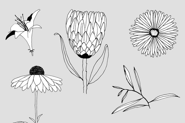 创意手绘花卉插画图案纹理素材 Graphic Flowers Patterns & Elements插图11