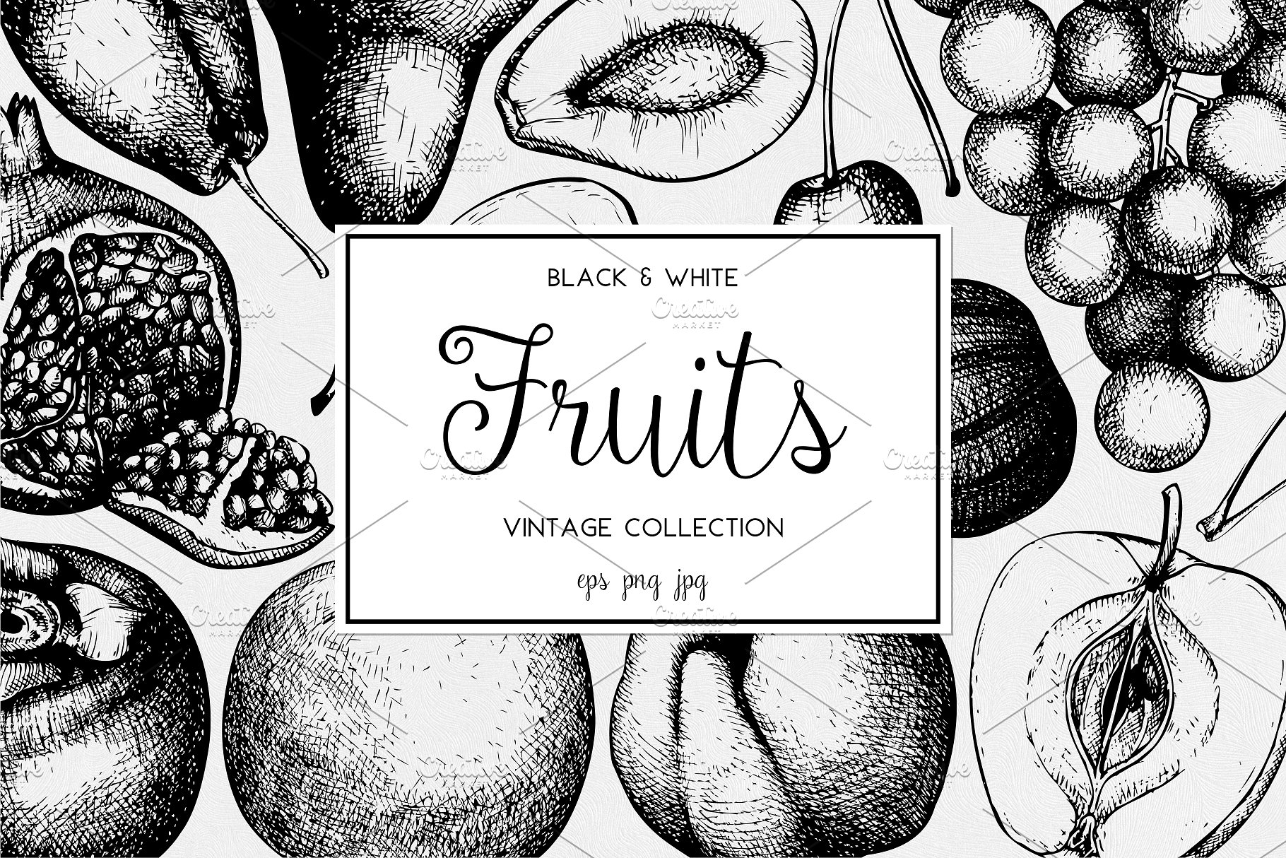 墨水手绘水果素材合集 Ink hand drawn fruit collection插图