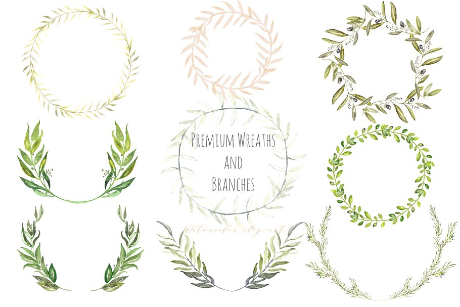 高级花环剪枝水彩剪贴画 Premium wreaths and branches clipart插图