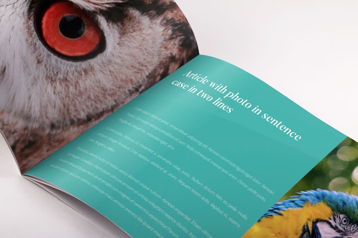 宣传小册子排版设计模板 Chameleon Free InDesign Brochure Template插图1