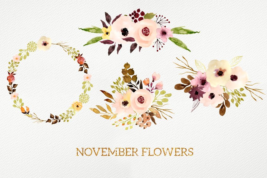 水彩花卉设计素材+12个花卉Logo模板 November Flowers插图2