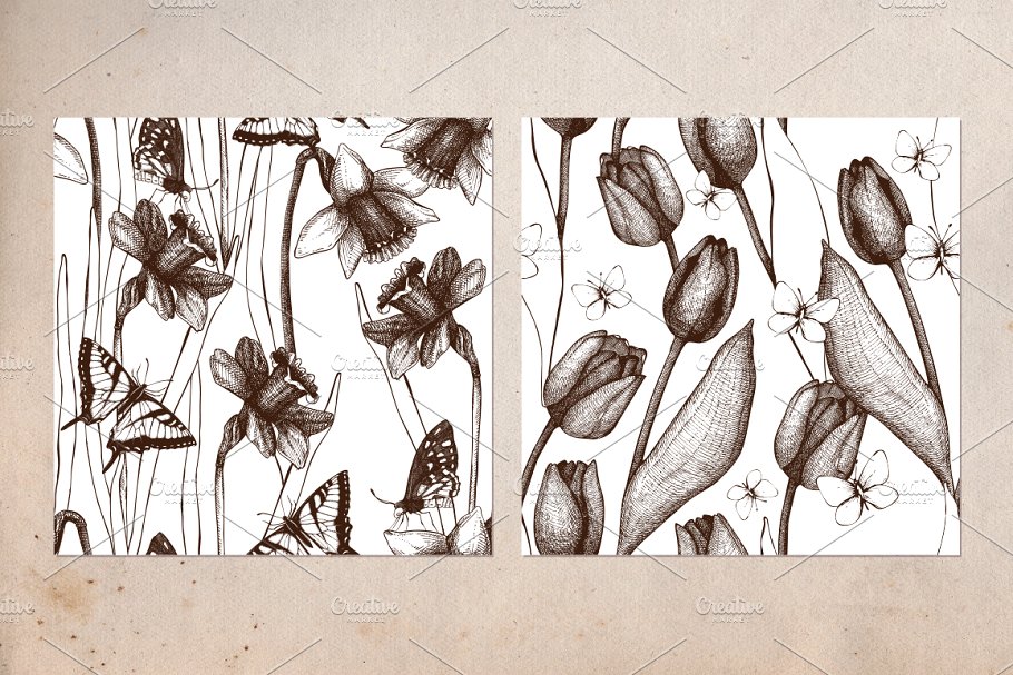 复古风格蝴蝶手绘插画 Vector Butterfly & Flowers Set插图(6)
