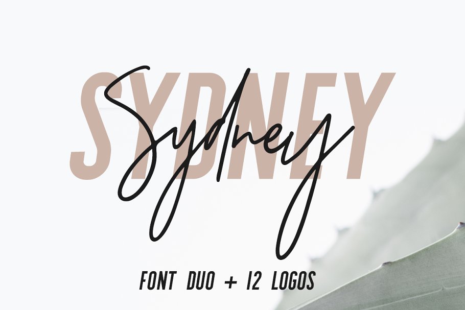 无衬线英文 Logo 字体+Logo 设计模板 Sydney | Font Duo + 12 Free Logos插图11