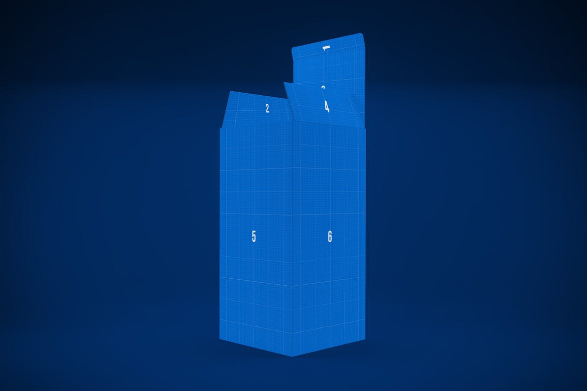 长方体高端产品包装盒外观设计样机模板 Rectangle Box插图(8)