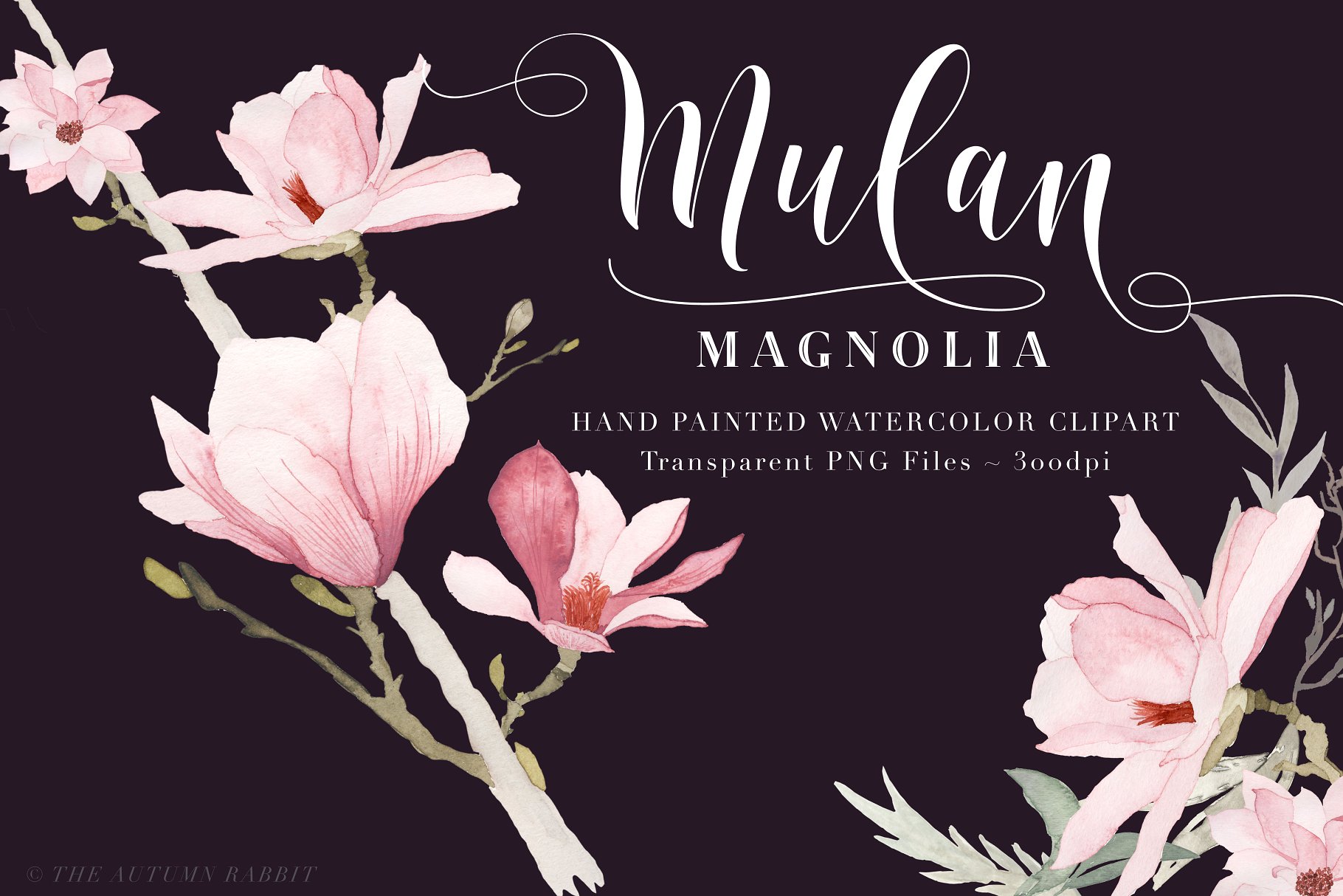 水彩玉兰花剪切画素材 Watercolor Magnolia Floral Clipart插图(2)