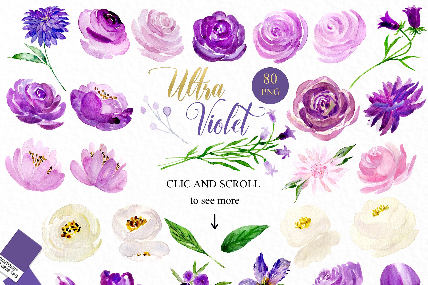 紫色水彩丁香花剪贴画 Ultraviolet watercolor lilac flowers插图(1)