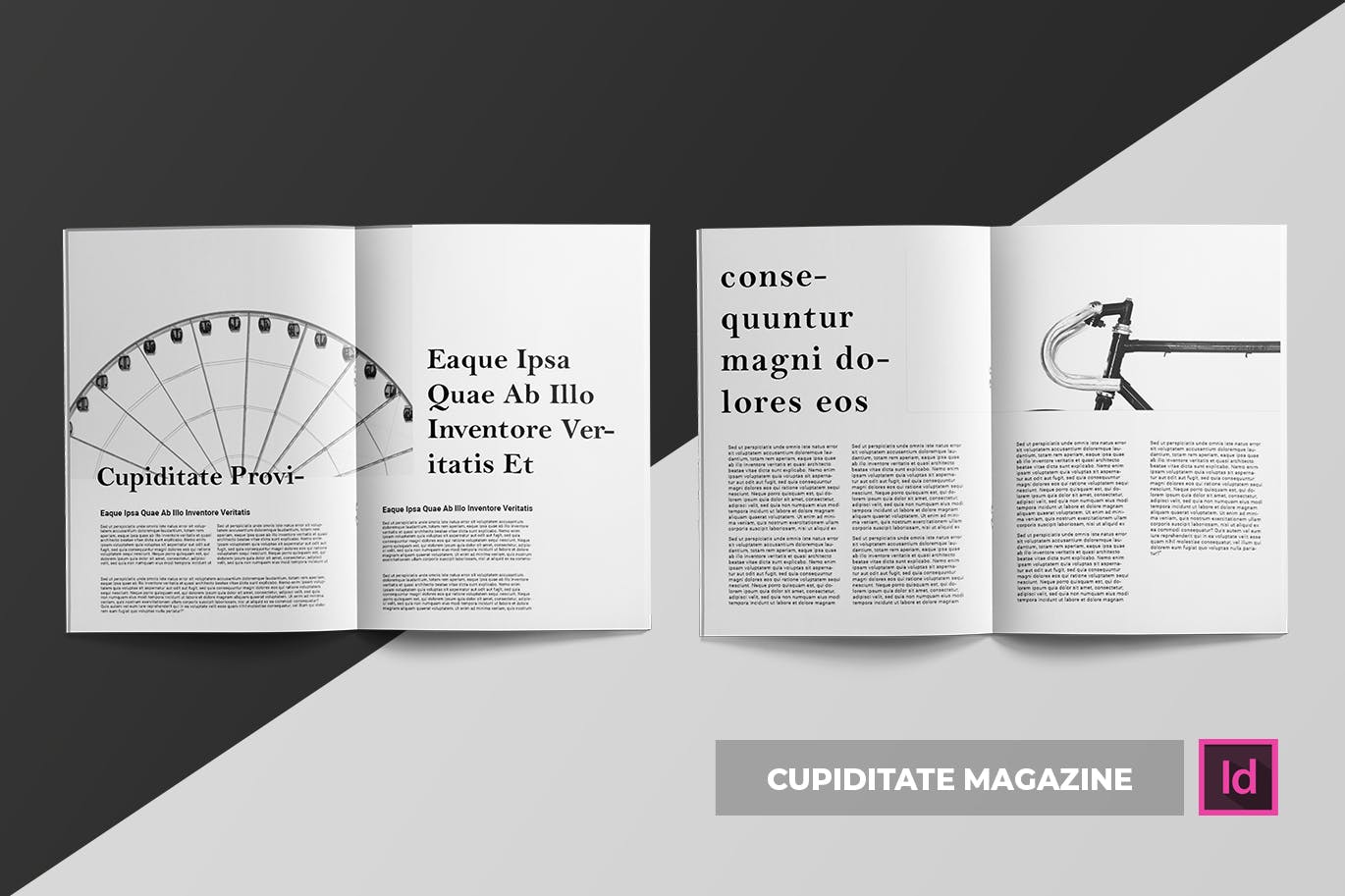 建筑/摄影/设计主题杂志设计模板 Cupiditate | Magazine插图4