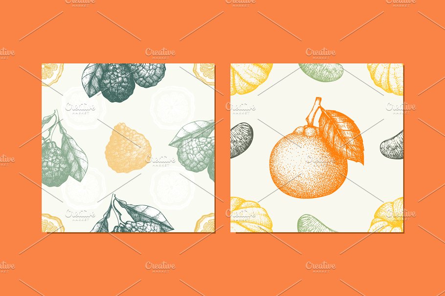 手绘素描柑橘类水果矢量无缝纹理 Vector Citrus Fruits Patterns Set插图(2)